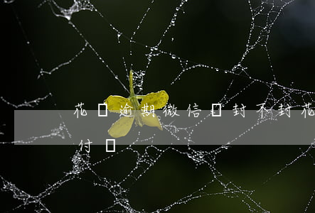 花唄逾期微信會封不封(花唄逾期影響微信分付嗎)