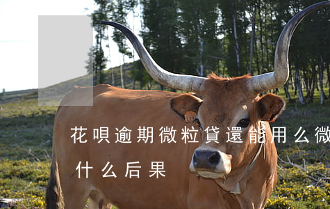 花唄逾期微粒貸還能用么(微粒貸借唄逾期有什么后果)