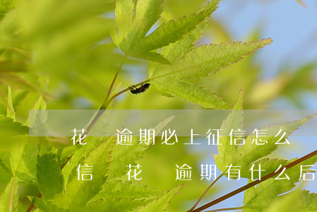 花唄逾期必上征信怎么辦(花唄借唄逾期上征信嗎?花唄逾期有什么后果)