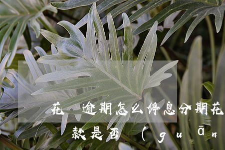 花唄逾期怎么停息分期(花唄逾期后不能分期還款是否關(guān)閉花唄)