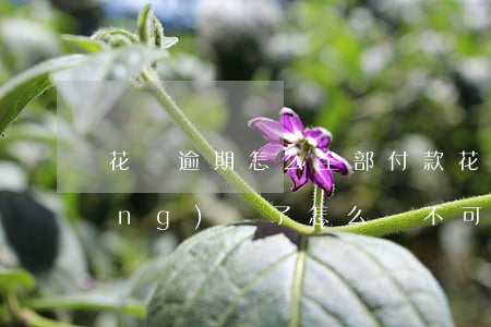 花唄逾期怎么全部付款(花唄逾期已經(jīng)還了,怎么還不可以用花唄)
