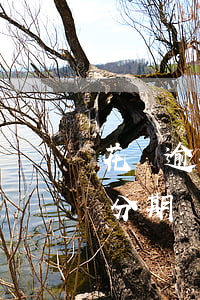 花唄逾期怎么再分期還全款(花唄逾期怎么再分期還全款)