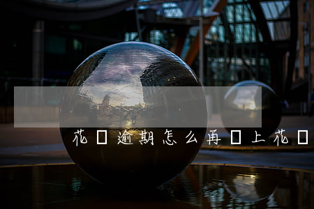 花唄逾期怎么再還上(花唄逾期怎么再還上錢)