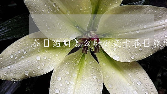 花唄逾期怎么刷公交卡(花唄能刷公交車嗎)