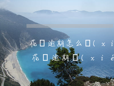 花唄逾期怎么協(xié)商還款嗎(支付寶花唄逾期協(xié)商成功)