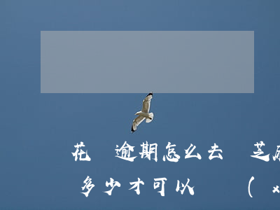 花唄逾期怎么去攢芝麻粒(花唄逾期后芝麻分多少才可以繼續(xù)使用)