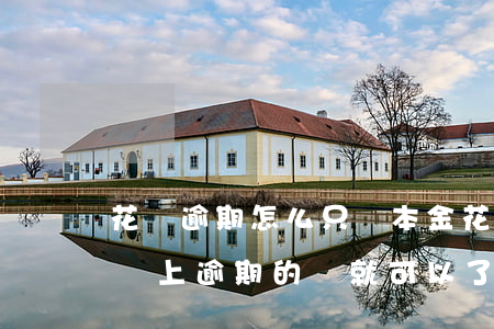 花唄逾期怎么只還本金(花唄逾期的話是不是還上逾期的錢就可以了)