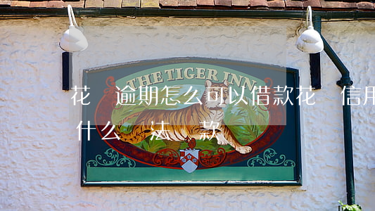 花唄逾期怎么可以借款(花唄信用卡逾期還有什么辦法貸款)