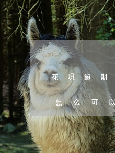 花唄逾期怎么可以辦理分期付款-花唄逾期怎么可以辦理分期付款呢
