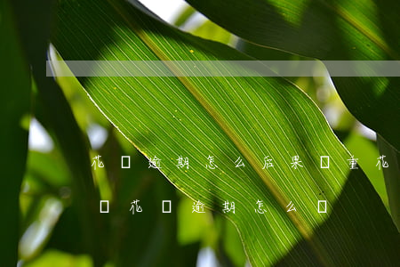 花唄逾期怎么后果嚴重(花唄逾期多久會被起訴?花唄逾期怎么辦)