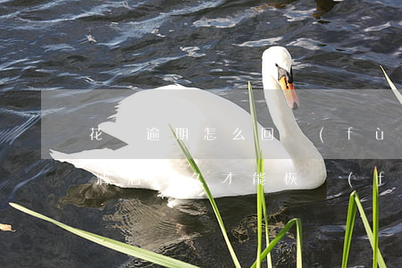 花唄逾期怎么回復(fù)使用(花唄逾期還清后多久才能恢復(fù)使用能申訴么)
