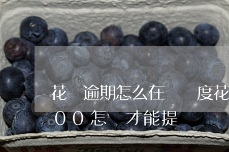 花唄逾期怎么在漲額度(花唄逾期額度降到500怎樣才能提額)