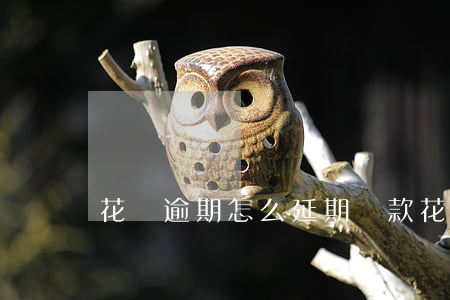 花唄逾期怎么延期還款(花唄如何延期還款)