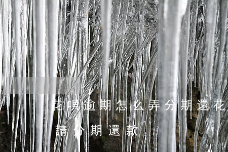 花唄逾期怎么弄分期還(花唄到期后還怎樣申請分期還款)