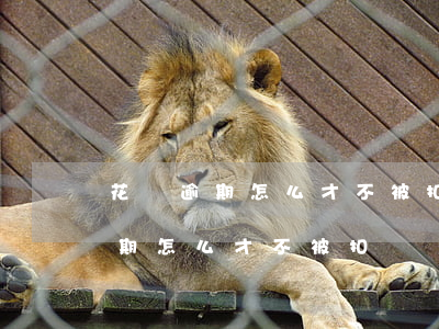 花唄逾期怎么才不被扣螞蟻信用分-花唄逾期怎么才不被扣螞蟻信用分呢