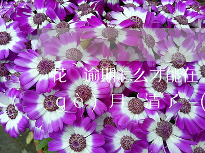 花唄逾期怎么才能在開通(花唄逾期過3個(gè)月,還清了關(guān)閉了,要怎么樣才能在開通)