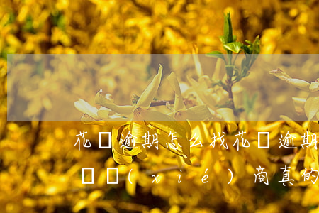 花唄逾期怎么找(花唄逾期找專業(yè)法務協(xié)商真的有用嗎)