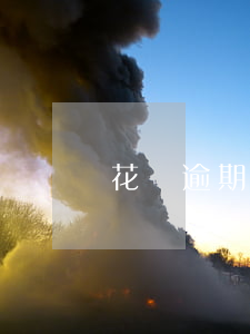 花唄逾期怎么提前還款(花唄能提前還款嗎)