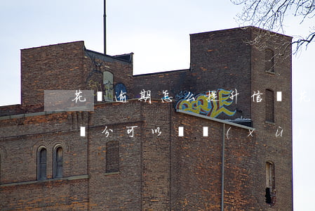 花唄逾期怎么提升信譽(花唄逾期之后多少信譽分可以繼續(xù)使用)