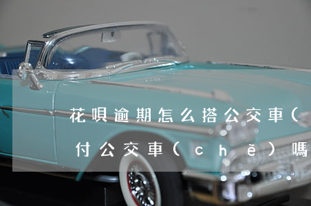 花唄逾期怎么搭公交車(chē)(花唄能支付公交車(chē)嗎)