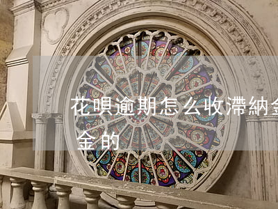 花唄逾期怎么收滯納金 花唄逾期怎么收滯納金的