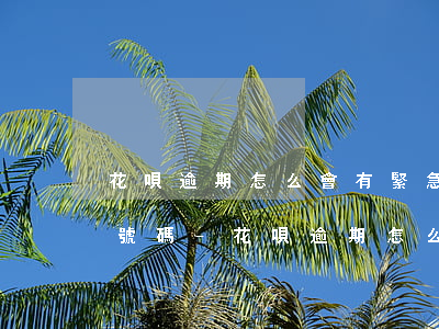 花唄逾期怎么會有緊急聯(lián)系人號碼-花唄逾期怎么會有緊急聯(lián)系人號碼呢