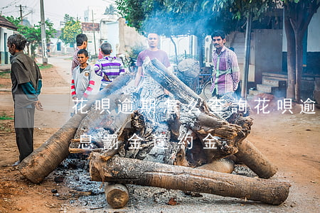 花唄逾期怎么查詢(花唄逾期怎么查詢本金利息罰金違約金?)
