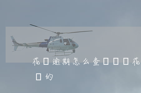 花唄逾期怎么查詢記錄(花唄逾期怎么查詢記錄的)