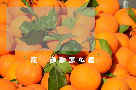 花唄逾期怎么查賬單
