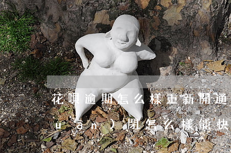 花唄逾期怎么樣重新開通(花唄逾期被關(guān)閉怎么樣能快點再次開通啊)
