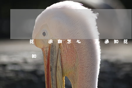 花唄逾期怎么沒人通知(花唄逾期怎么沒人通知)