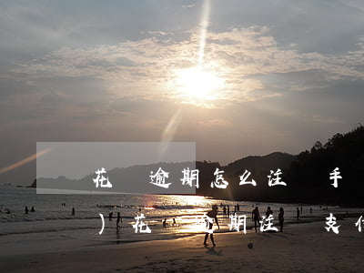 花唄逾期怎么注銷手機(jī)號(hào)(花唄逾期注銷支付寶賬號(hào))