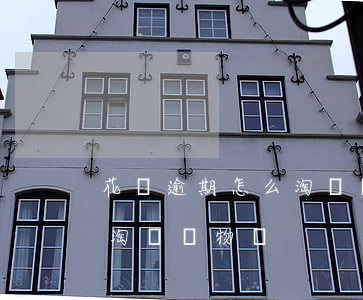 花唄逾期怎么淘寶買東西(花唄欠錢還可以在淘寶購物嗎)
