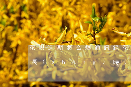 花唄逾期怎么爆通訊錄(花唄欠200逾期多長(zhǎng)時(shí)間會(huì)爆通訊錄)