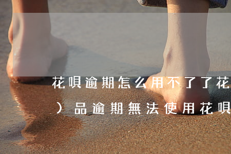 花唄逾期怎么用不了了(花唄有產(chǎn)品逾期無法使用花唄怎么回事)
