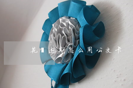 花唄逾期怎么用公交卡