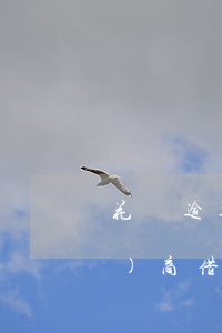花唄逾期怎么申請(qǐng)協(xié)商(借唄逾期不同意協(xié)商怎么辦)