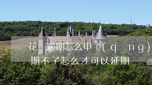花唄逾期怎么申請(qǐng)延期(花唄延期不了,怎么才可以延期)