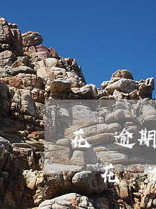 花唄逾期怎么申請(qǐng)復(fù)議(花唄逾期協(xié)商不成要多長(zhǎng)時(shí)間才會(huì)被起訴)