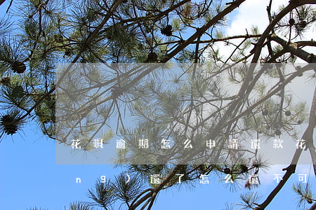花唄逾期怎么申請還款(花唄逾期已經(jīng)還了,怎么還不可以用花唄)