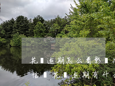 花唄逾期怎么看影響征信(花唄借唄逾期上征信嗎?花唄逾期有什么后果)