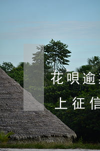 花唄逾期怎么知道上征信(怎么知道花唄是否上征信)