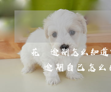花唄逾期怎么知道家人朋友的電話號碼的（花唄逾期自己怎么知道）