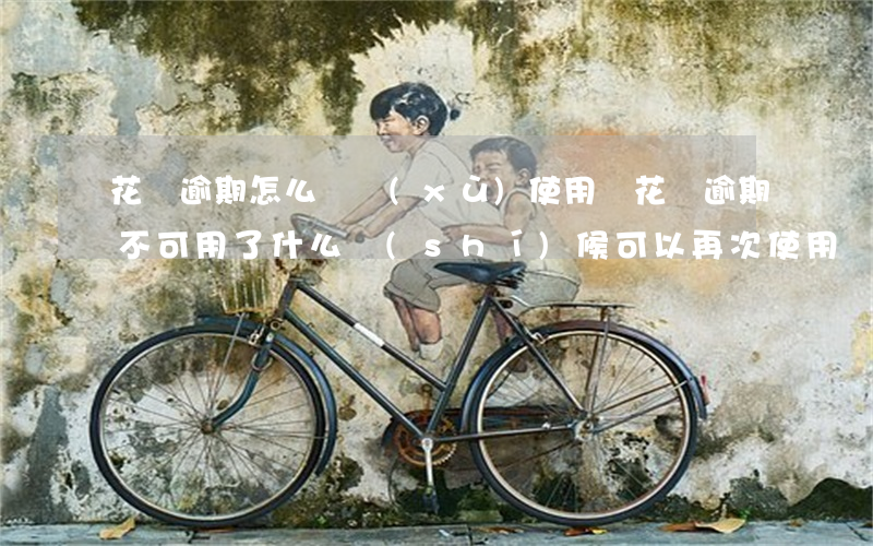 花唄逾期怎么繼續(xù)使用嗎(花唄逾期不可用了什么時(shí)候可以再次使用)