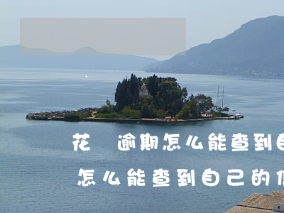 花唄逾期怎么能查到自己的信息-花唄逾期怎么能查到自己的信息呢