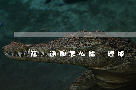花唄逾期怎么能處理掉