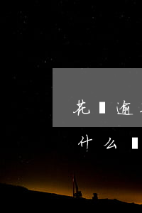 花唄逾期怎么能貸到錢(花唄信用卡逾期還有什么辦法貸款)