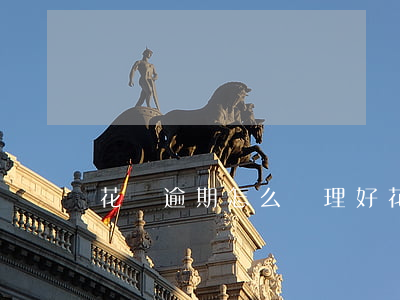 花唄逾期怎么處理好(花唄逾期怎么處理好呢)