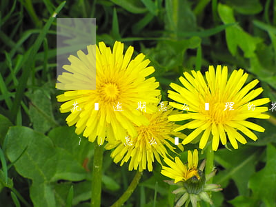花唄逾期怎么處理的(花唄逾期之后會(huì)怎么樣)