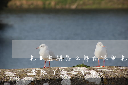花唄逾期怎么解除限制(花唄沒有逾期怎么就受限了,怎么解除)